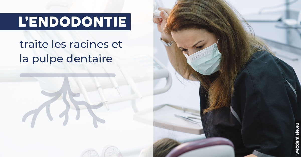 https://dr-madi-caroline.chirurgiens-dentistes.fr/L'endodontie 1