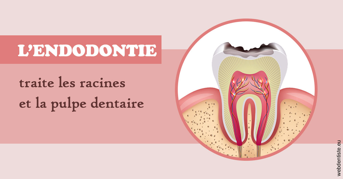 https://dr-madi-caroline.chirurgiens-dentistes.fr/L'endodontie 2