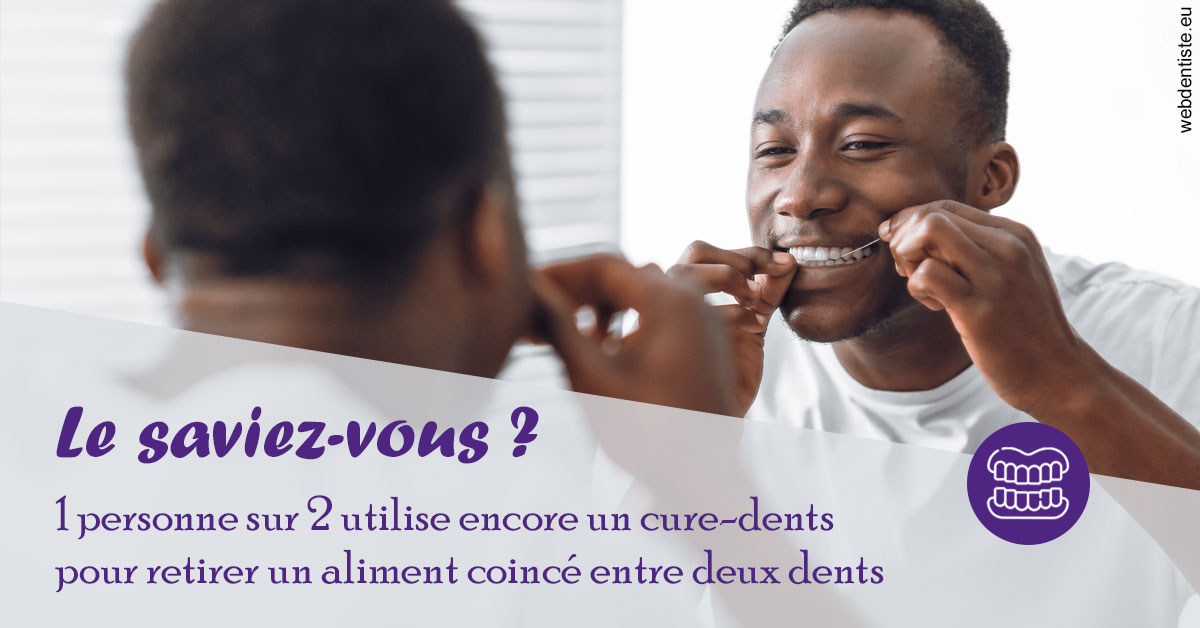 https://dr-madi-caroline.chirurgiens-dentistes.fr/Cure-dents 2