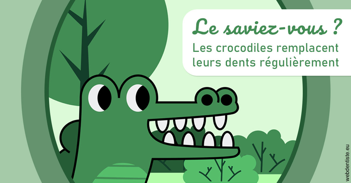 https://dr-madi-caroline.chirurgiens-dentistes.fr/Crocodiles 2